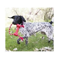 Kong Goodie Bone Kemik Şeklinde İp Sallantılı Çok Amaçlı Köpek Oyuncağı M