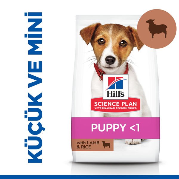 Hills Puppy Small & Mini Kuzu Etli Küçük Irk Yavru Köpek Maması 6 Kg
