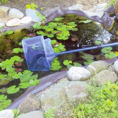 Jbl Pond Net Akvaryum Balık Kepçesi İnce 30.5x20.5x90 Cm