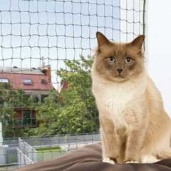 Trixie Kedi Cam Koruma Ağı Yeşil 6x3 M