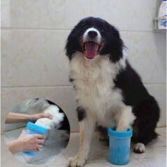 Pet Animal  Köpekler İçin Pati Temizleme Aparatı Büyük Boy 9.5x15h Cm