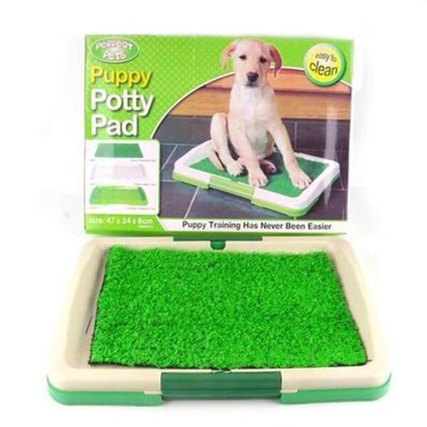 Petpretty Yavru Köpek İçin Çimli Tuvalet Eğitim Pedi