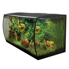 Fluval Flex Akvaryum 123 Lt Siyah 82x40x39 Cm