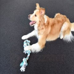 Flamingo 4 Düğümlü İp Köpek Oyuncağı Yeşil/Beyaz/Gri 60 Cm