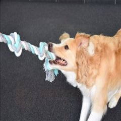 Flamingo 4 Düğümlü İp Köpek Oyuncağı Yeşil/Beyaz/Gri 60 Cm