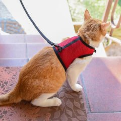 Ferplast Jogging Extra Büyük Boy Kedi Gögüs Tasması Xlarge