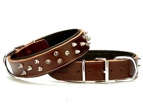 Doggie Güçlü Deri Köpek Çivili Boyun Tasması Small Kahverengi 4x47-55 Cm