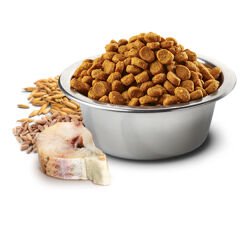 Farmina Team Breeder Düşük Tahıllı Taze Morina Balık & Portakallı Yetişkin Kedi Maması 10 Kg