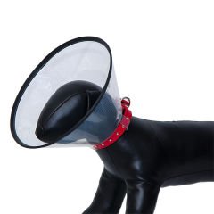 Eastland Dayanıklı Kedi ve Köpek Elizabeth Yakalığı 32x19 Cm