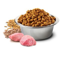 Farmina Team Breeder Düşük Tahıllı Taze Kuzu Eti & Yaban Mersinli Yetişkin Kedi Maması 10 Kg