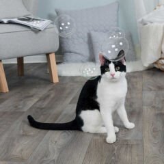 Trixie Kedi Otlu Balonlar 120 Ml