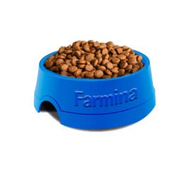 Farmina Team Breeder Maintenance Fish Balıklı Yetişkin Kedi Maması 10 Kg