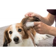 Trixie Kedi ve Köpek Kulak Temizleme Mendili