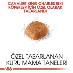 Royal Canin Cavalier King Charles Yetişkin Köpek Maması 1,5 kg