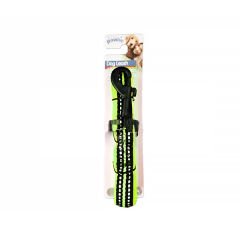 Pawise Reflektörlü Köpek Gezdirme Tasması Yeşil 15 Mm 120 Cm