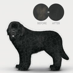 Natures Protection Adult Kümes Hayvanlı Siyah Tüylü Yetişkin Köpek Maması 1.5 Kg