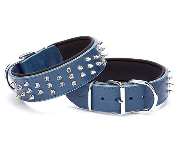 Doggie Güçlü Deri Köpek Çivili Boyun Tasması Small Mavi 5x50-60 Cm