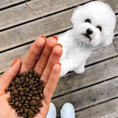 Natures Protection Adult Balıklı Tahılsız Küçük Irk Beyaz Tüylü Yetişkin Köpek Maması 1.5 Kg
