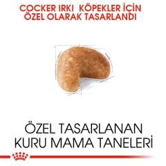 Royal Canin Cocker Özel Irk Yetişkin Köpek Maması 3 kg