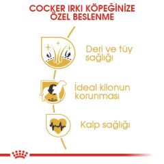 Royal Canin Cocker Özel Irk Yetişkin Köpek Maması 3 kg
