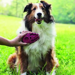 Kong Köpek Oyuncak, ZoomGroom Tarak Mavi 11 Cm