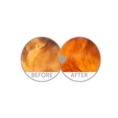 Natures Protection Adult Kümes Hayvanlı Kırmızı Tüylü Yetişkin Köpek Maması 10 Kg
