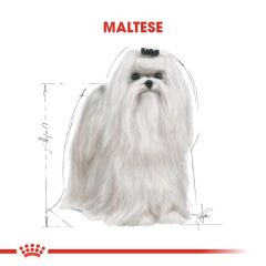 Royal Canin Maltese Terrier Yetişkin Köpek Maması 1,5 kg