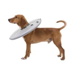 Trixie Kedi ve Köpek Yakalığı Gri Large 46-49x24 Cm