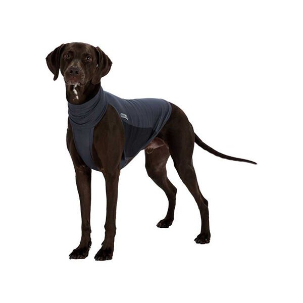 Trixie Haşere Kovucu Köpek Kıyafeti Large