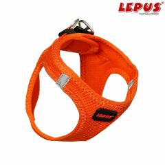 Lepus Köpek Göğüs Tasması Large Turuncu