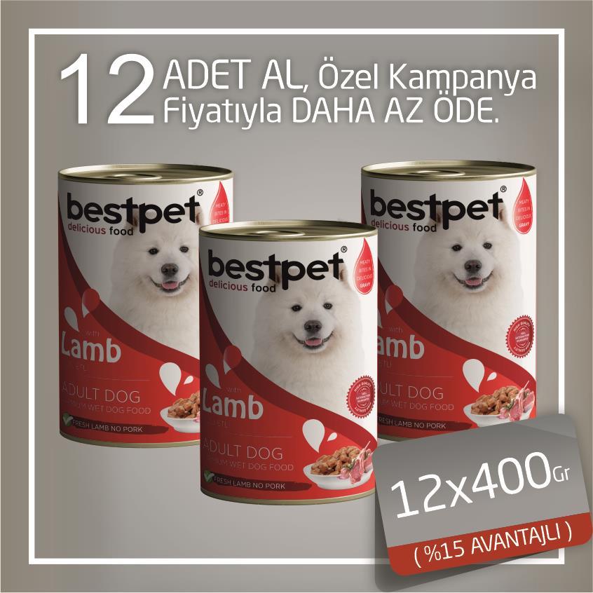 Bestpet Kuzulu Gravy Yetişkin Köpek Konservesi 12x400 Gr