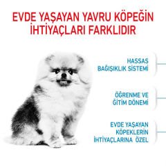 Royal Canin Mini İndoor Puppy Yavru Köpek Maması 1.5 Kg