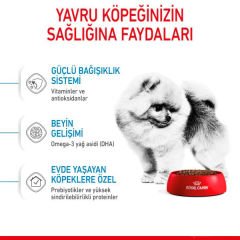 Royal Canin Mini İndoor Puppy Yavru Köpek Maması 1.5 Kg