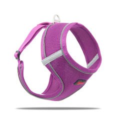 Tailpetz Step İn Göğüs Tasması (S) Mor