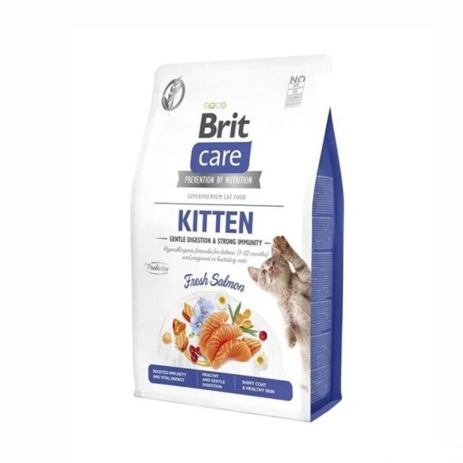Brit Care Gentle Digestion & Strong Immunity Somonlu Tahılsız Yavru Kedi Maması 2 kg