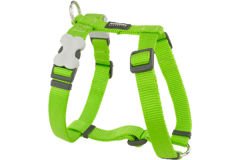 Red Dingo Classic Köpek Göğüs Tasması Lime Xlarge 24 Mm
