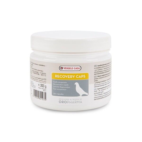 Versele Laga Güvercin Yarış için Hastalık İyileştirme Hapı