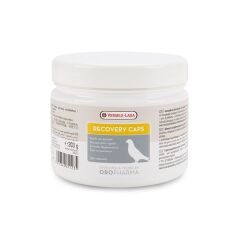 Versele Laga Güvercin Yarış için Hastalık İyileştirme Hapı