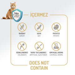 Felicia Hypoallergenic Somonlu Düşük Tahıllı Yetişkin Kedi Maması 5 Kg
