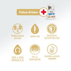 Felicia Hypoallergenic Somonlu Düşük Tahıllı Yetişkin Kedi Maması 5 Kg