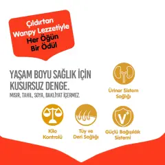 Wanpy Somonlu ve Ton Balıklı Tahılsız Kısırlaştırılmış Kedi Maması 8 Kg