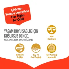 Wanpy Ton Balıklı Tahılsız Yetişkin Kedi Maması 8 Kg