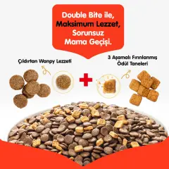 Wanpy Tavuklu Tahılsız Yavru Kedi Maması 8 Kg