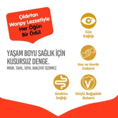 Wanpy Tavuklu Tahılsız Yavru Kedi Maması 8 Kg