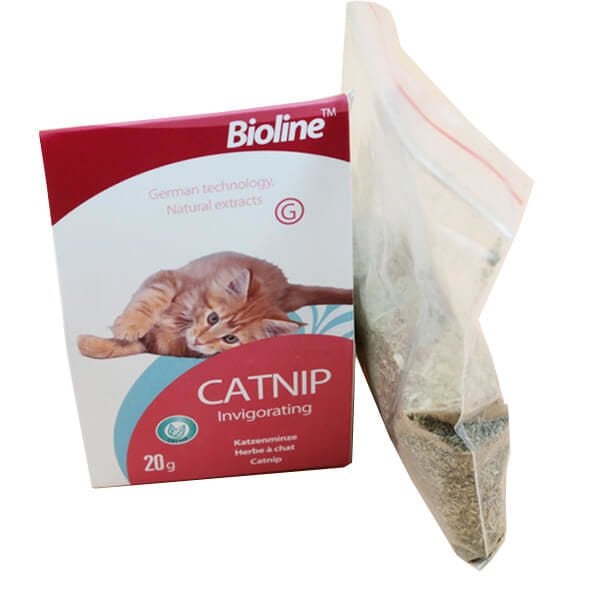 Bioline Catnip Kedi Otu 20 Gr