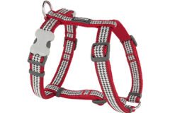 Red Dingo Fang It Desenli Köpek Göğüs Tasması Kırmızı 25 Mm